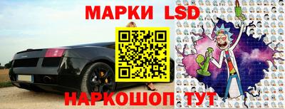 Альфа ПВП Дубна