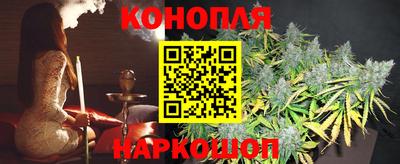крисы Донской